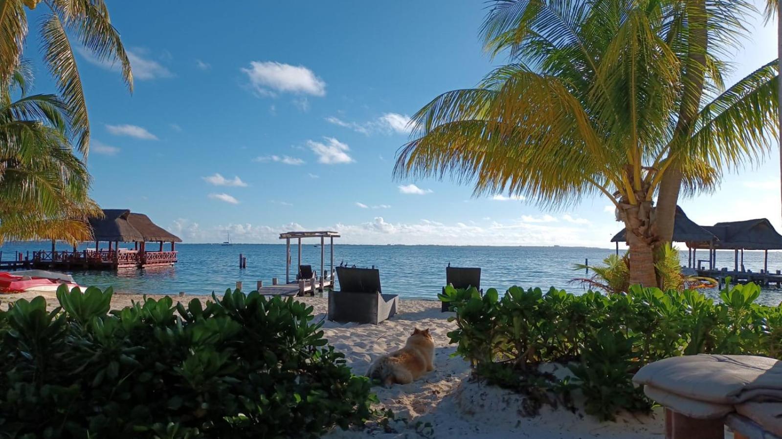 Cancun Private Apartment Dış mekan fotoğraf
